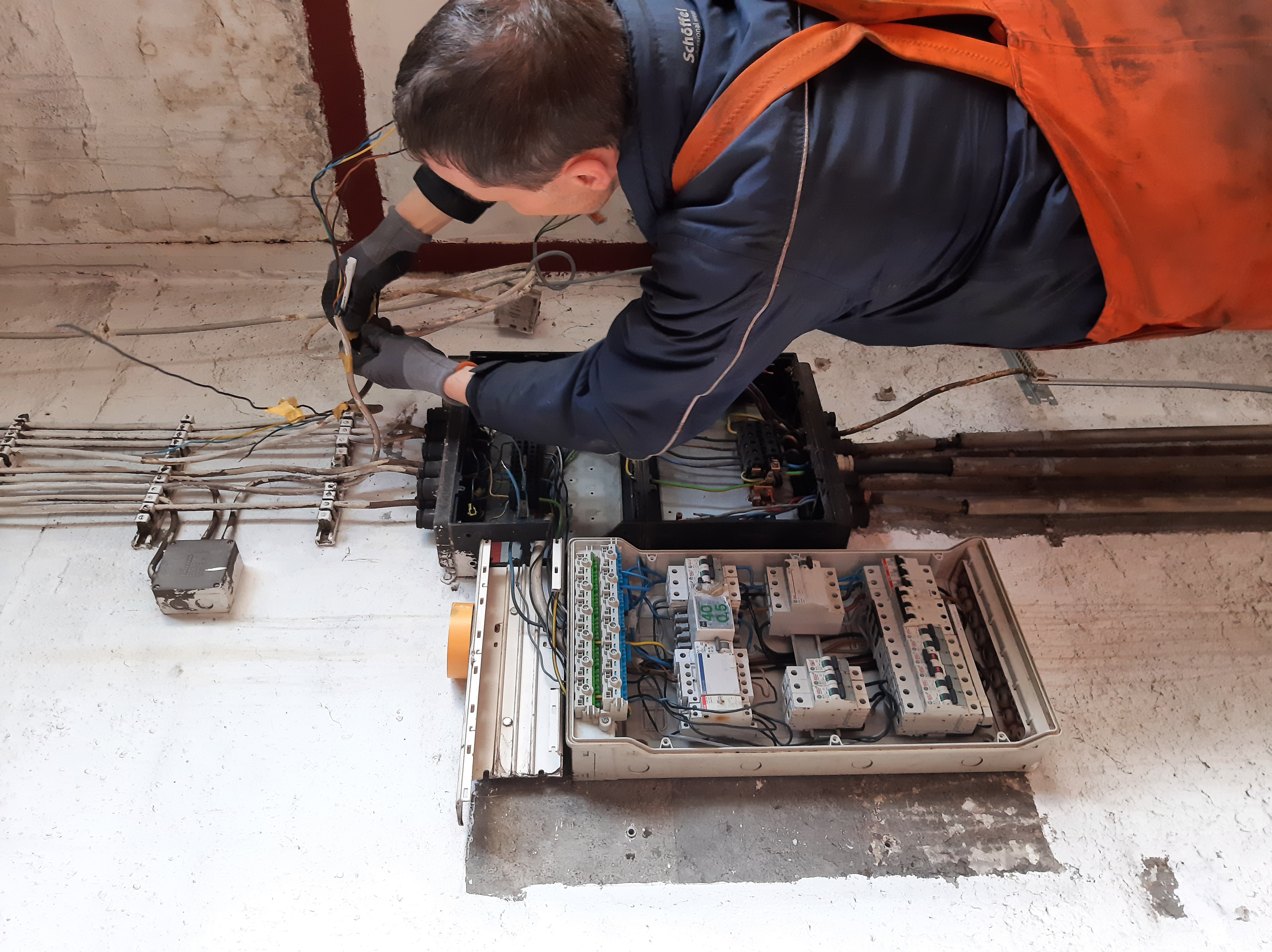 img 20240413 wa0006 20250319 1071589818