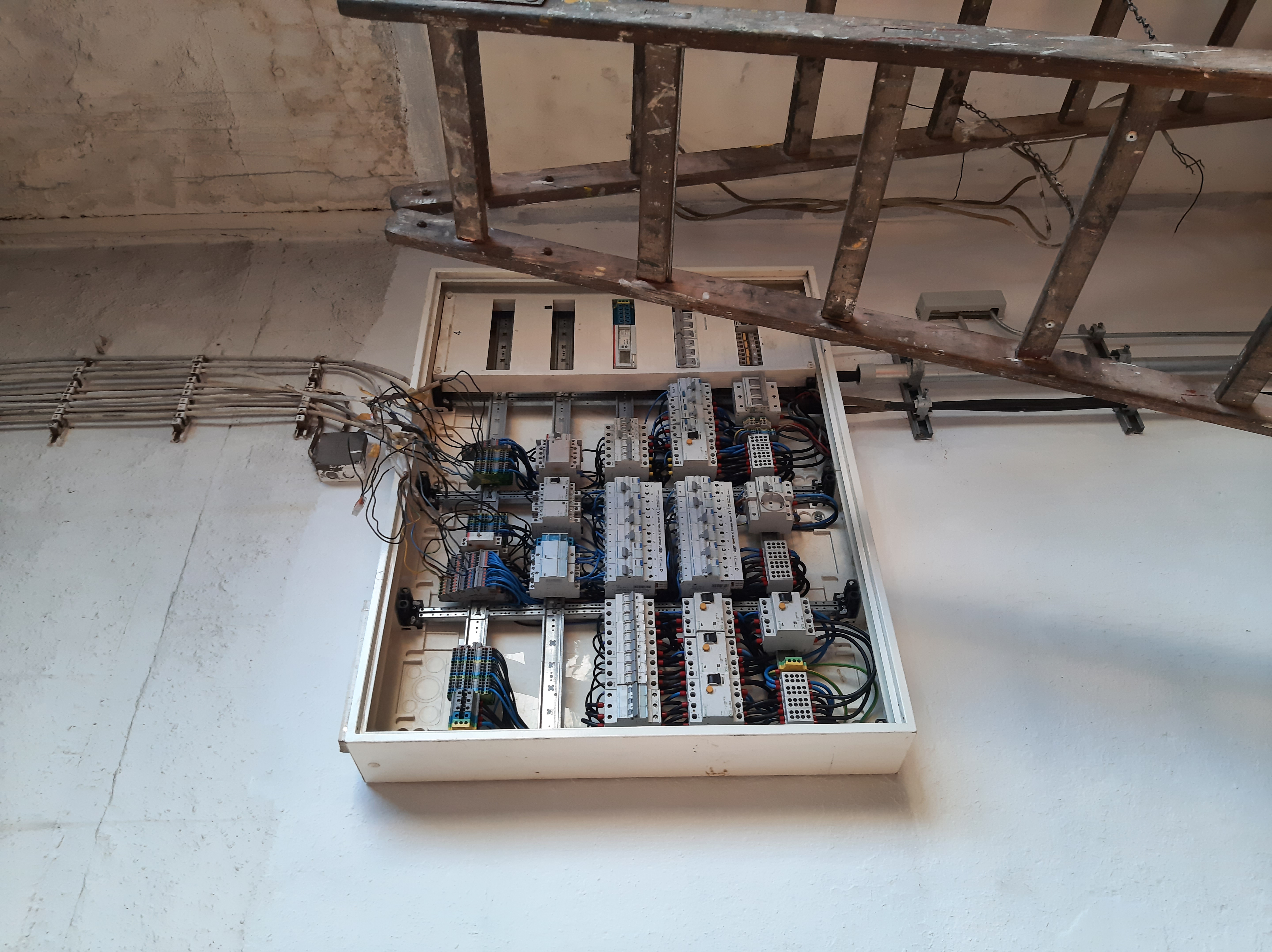 im000645 20250319 1061541050