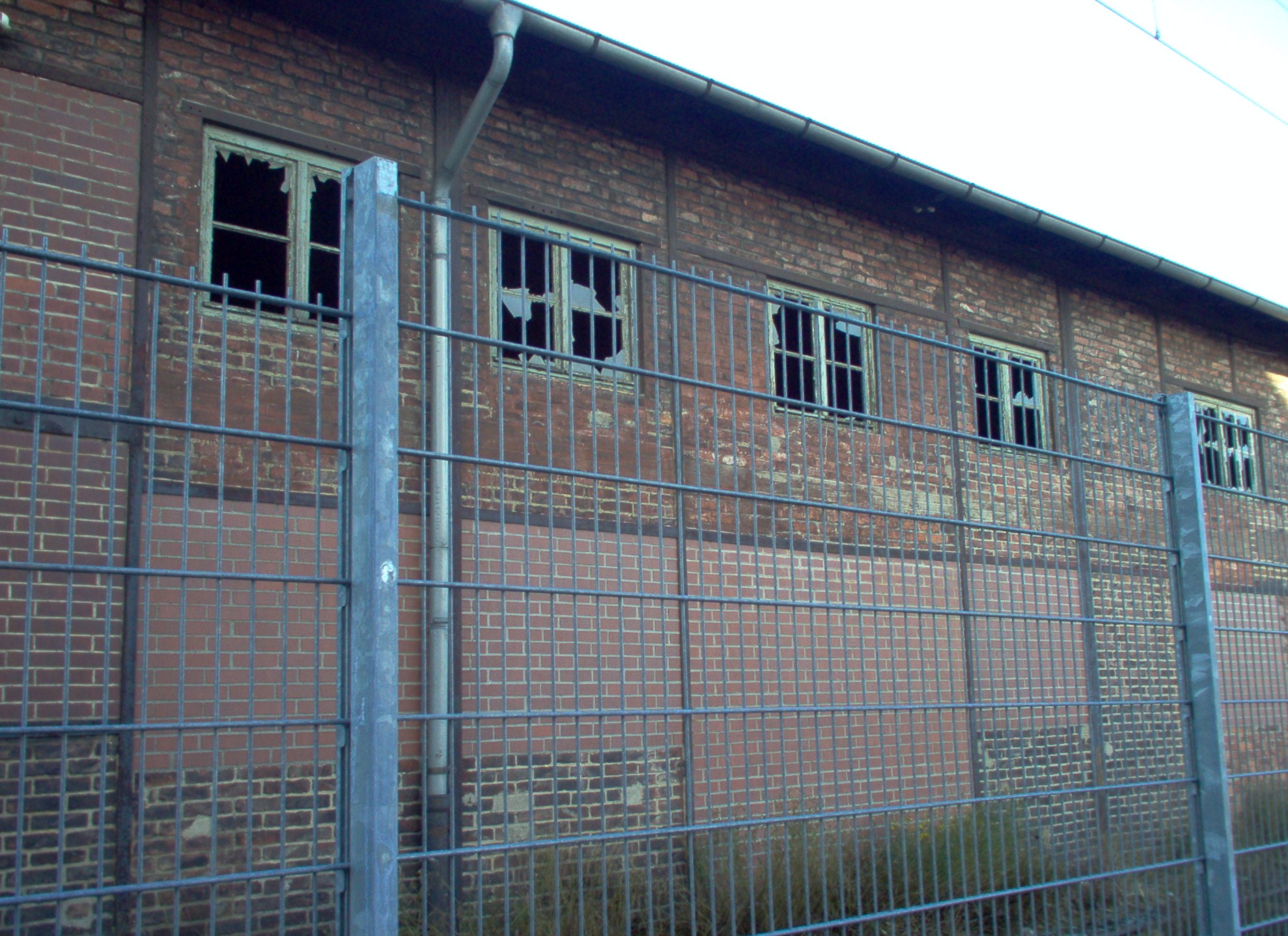 im000645 20250319 1061541050