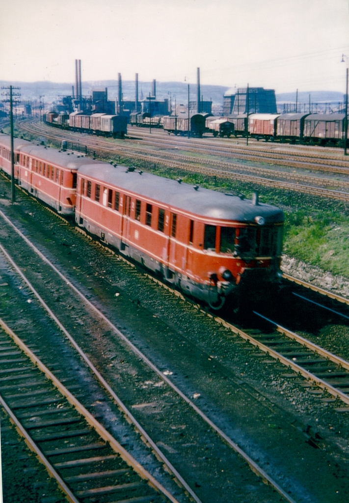 1954-08-11_Willi Rolf (711x1024)