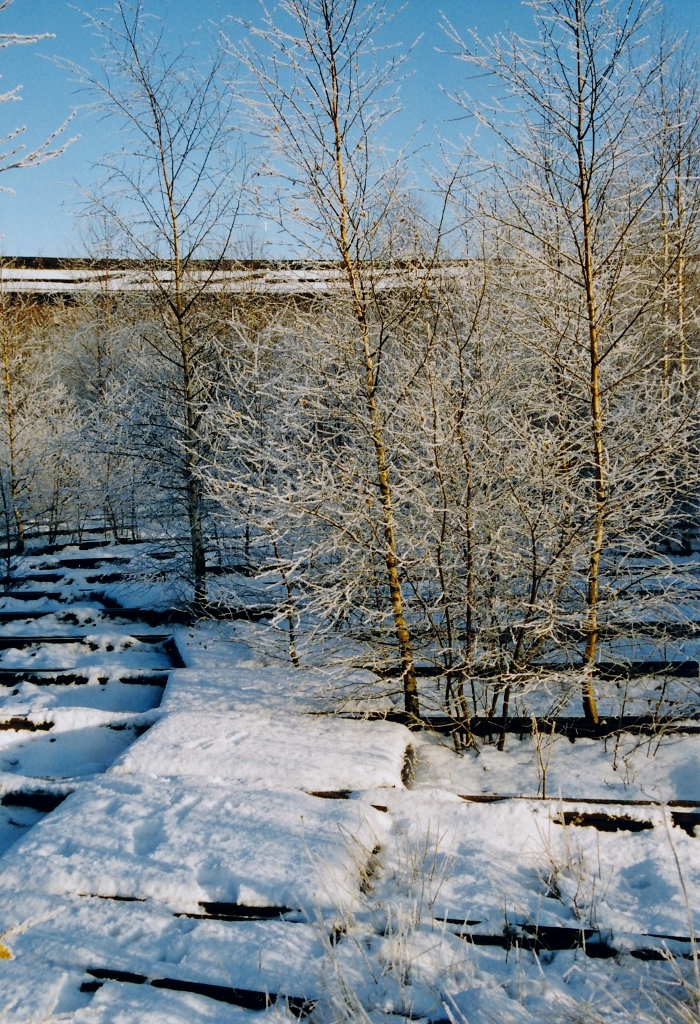 1994-12_Edwin Rolf (700x1024)