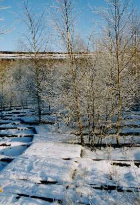 1994-12_Edwin Rolf (700x1024)