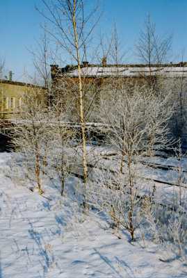 1994-12_Edwin Rolf_a (689x1024)