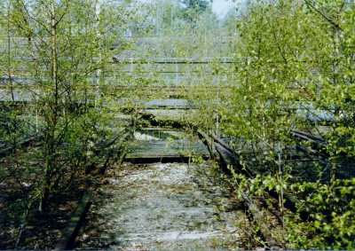 1997-04-29_Edwin Rolf_c (1024x725)