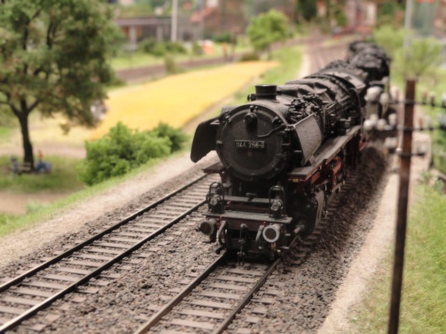 Schienenbus-Bad-Driburg-098