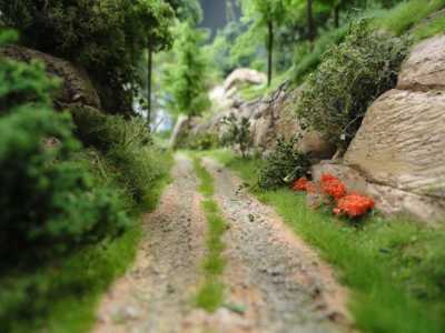 Schienenbus-Bad-Driburg-120