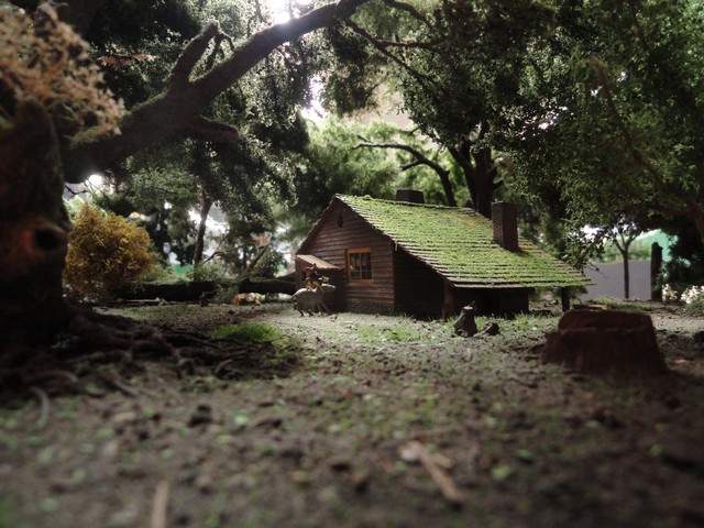 Schienenbus-Bad-Driburg-190