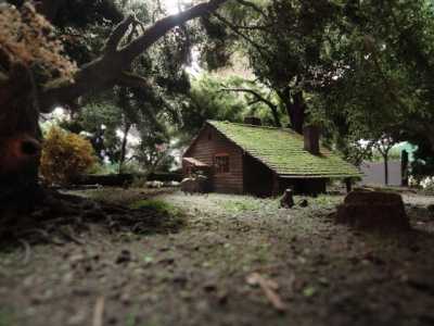 Schienenbus-Bad-Driburg-190