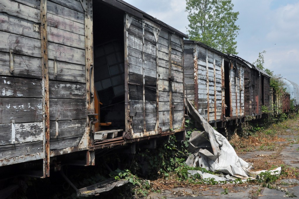 2015-06-27_Darmstadt--242-