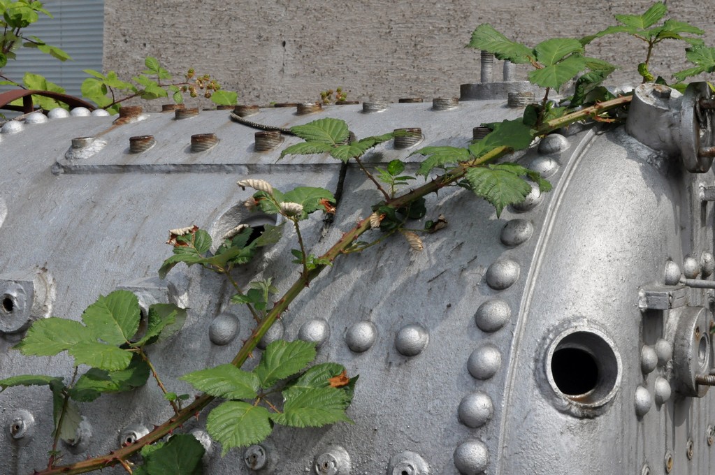 2015-06-27_Darmstadt--50-