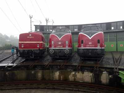 02. Juli 2017 - Vivat Viadukt Altenbeken