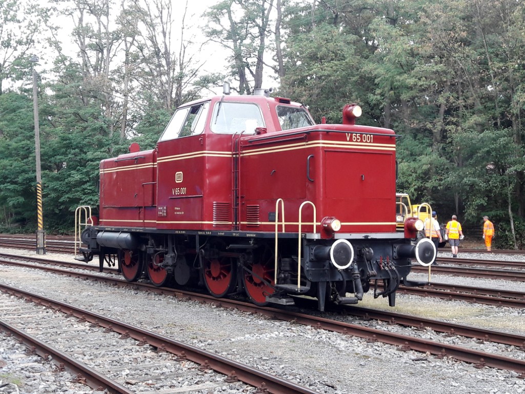 20190901_151525 (1024)