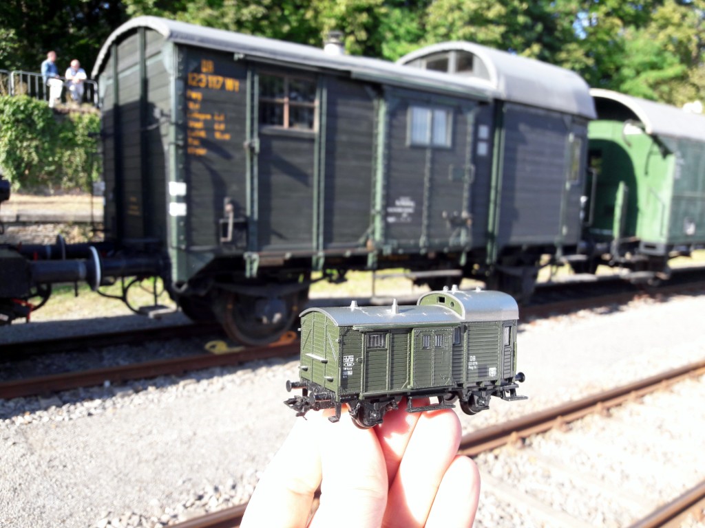 20190901_172458 (1024)