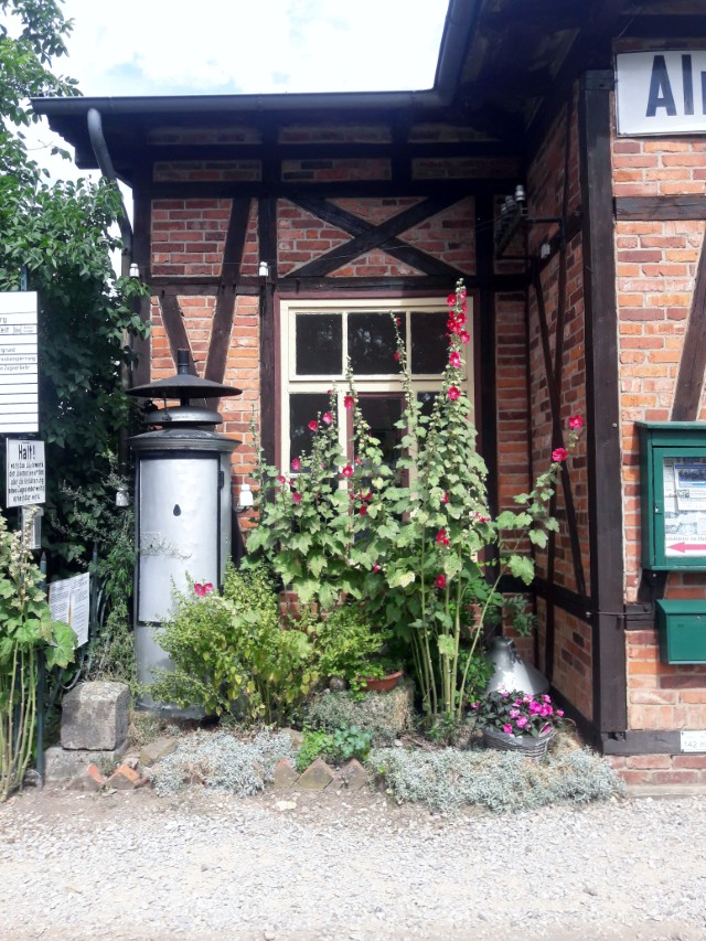 20190811_135314 (Custom)