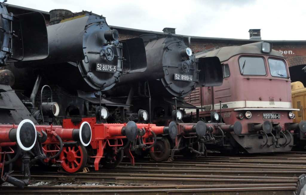 2019-09-28_DSC_0058 (1024)