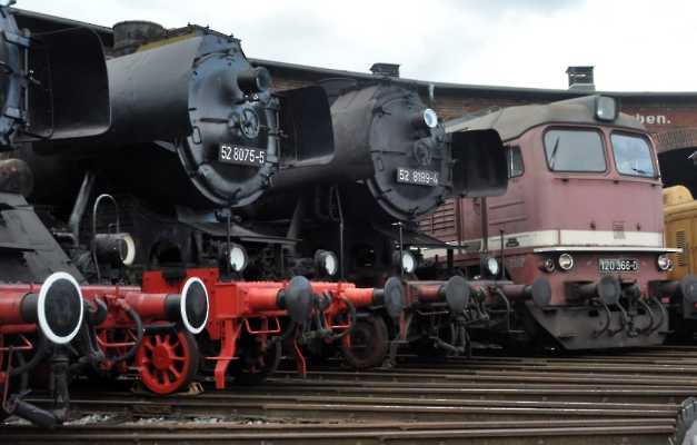 2019-09-28_DSC_0058 (1024)