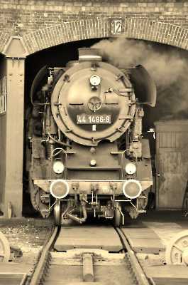 2019-09-28_DSC_0102 (1024)