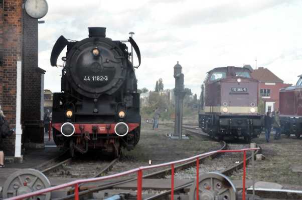 2019-09-28_DSC_0105 (1024)