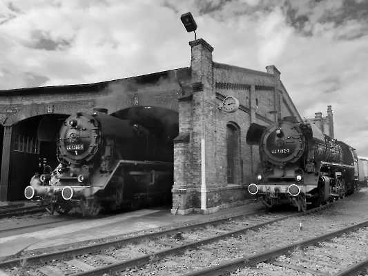 20190928_155405 (1024)