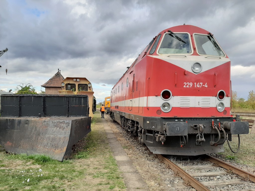 20190928_162323 (1024)