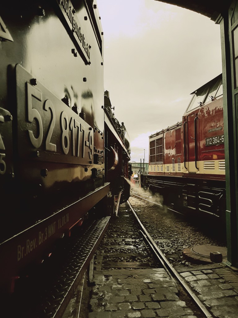 20190928_184928 (1024)