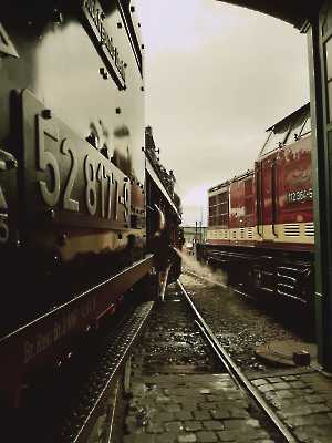 20190928_184928 (1024)