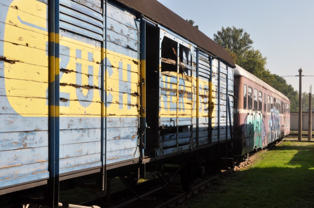 2019-08-31_DSC_0004 (1024)