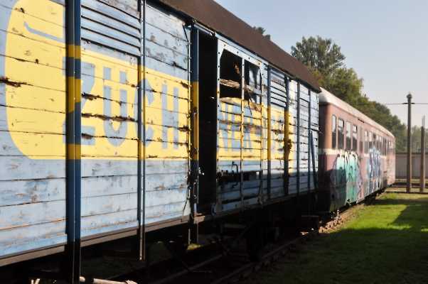 2019-08-31_DSC_0004 (1024)