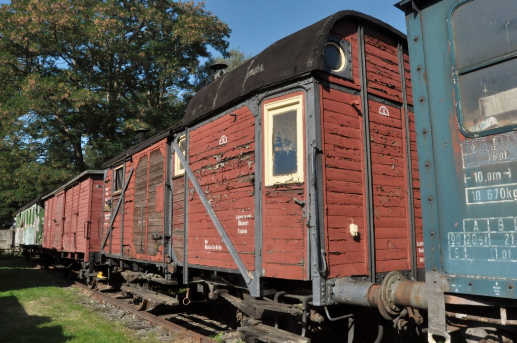 2019-08-31_DSC_0015 (1024)