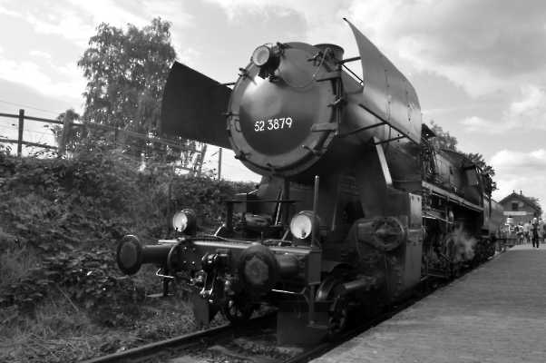 2019-09-08_DSC_0203 (1024)