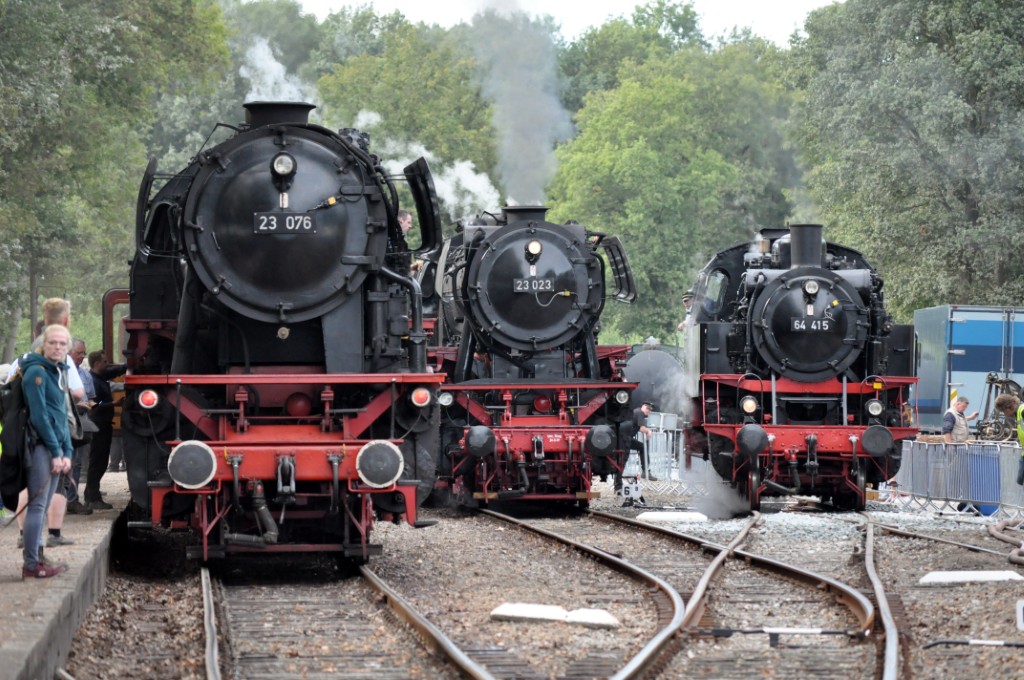 2019-09-08_DSC_0231 (1024)