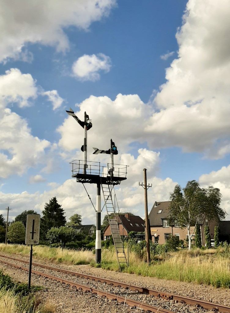 20200705_181037 (1024)