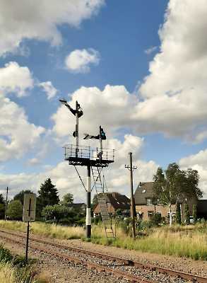 20200705_181037 (1024)