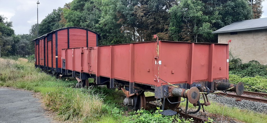 20210912_140512 (1024)