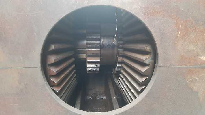 20210514_163236 (1024)